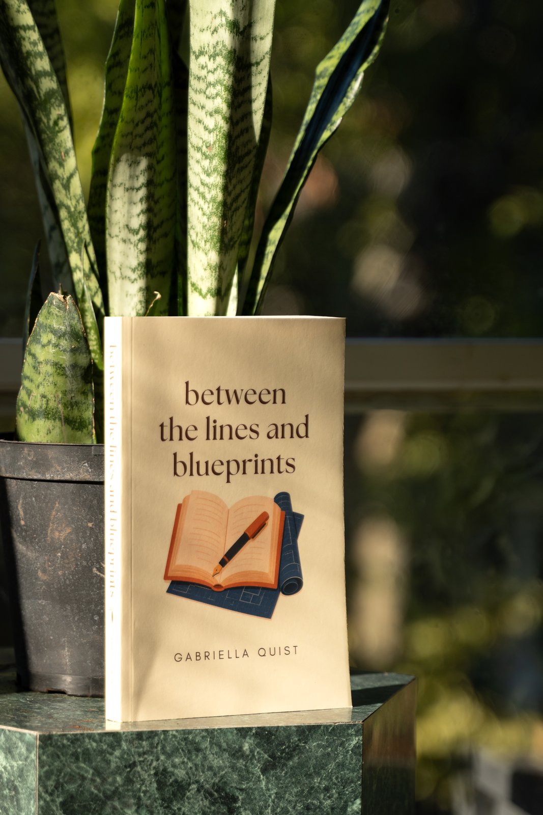 Between the Lines and Blueprints in golden light beside a snake plant